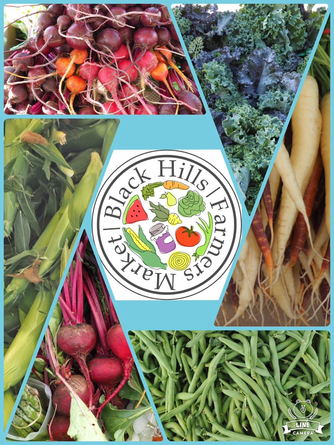 Opening of the Wholesale Market